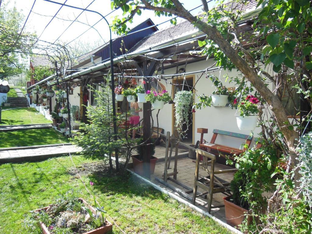 Pension Bassen Bazna Exterior photo