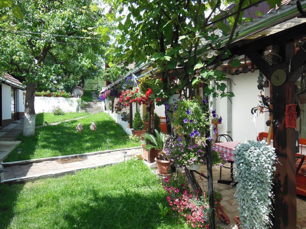Pension Bassen Bazna Exterior photo