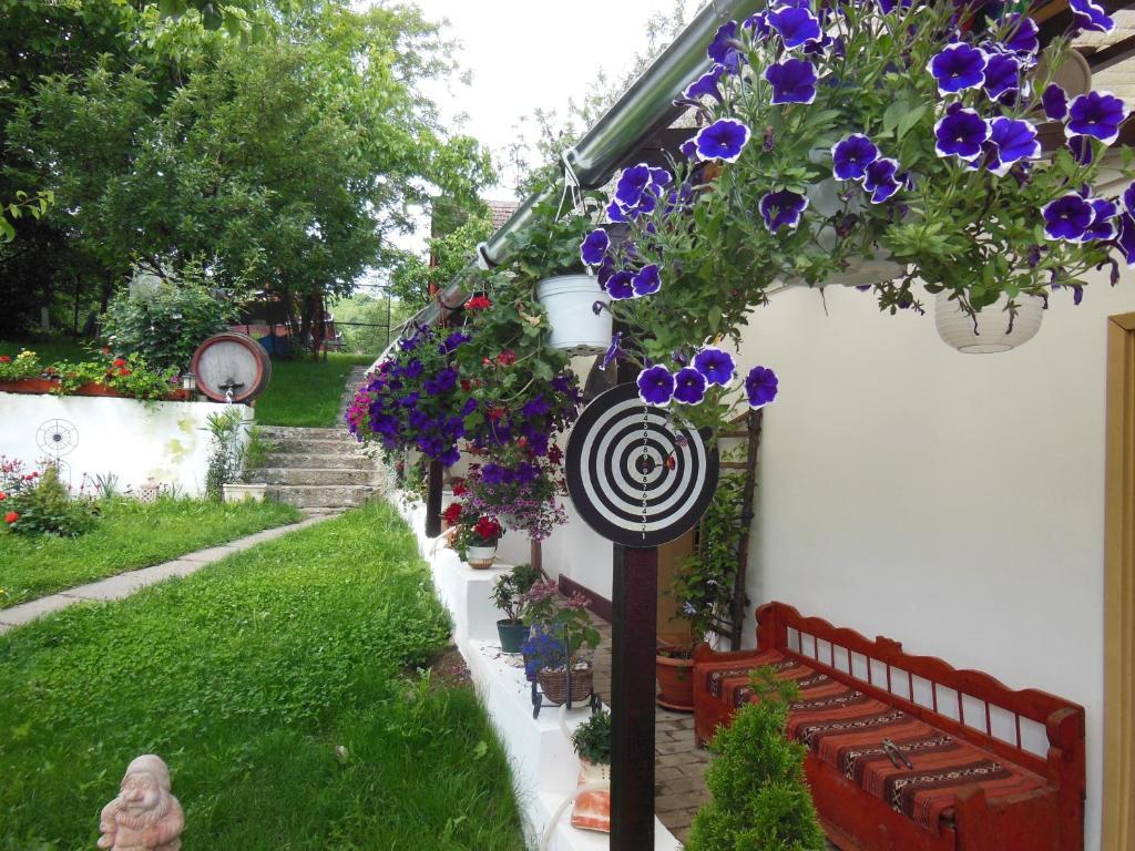 Pension Bassen Bazna Exterior photo