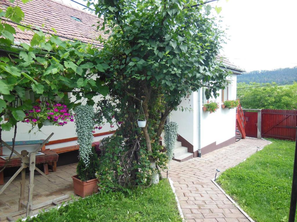 Pension Bassen Bazna Exterior photo