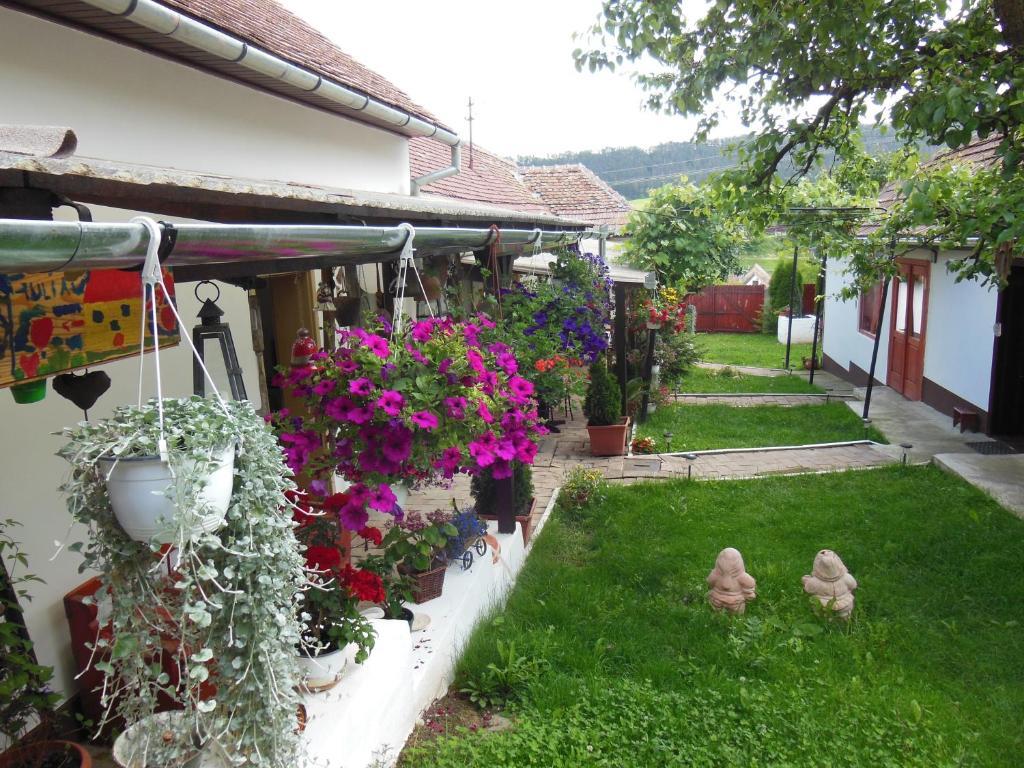 Pension Bassen Bazna Exterior photo