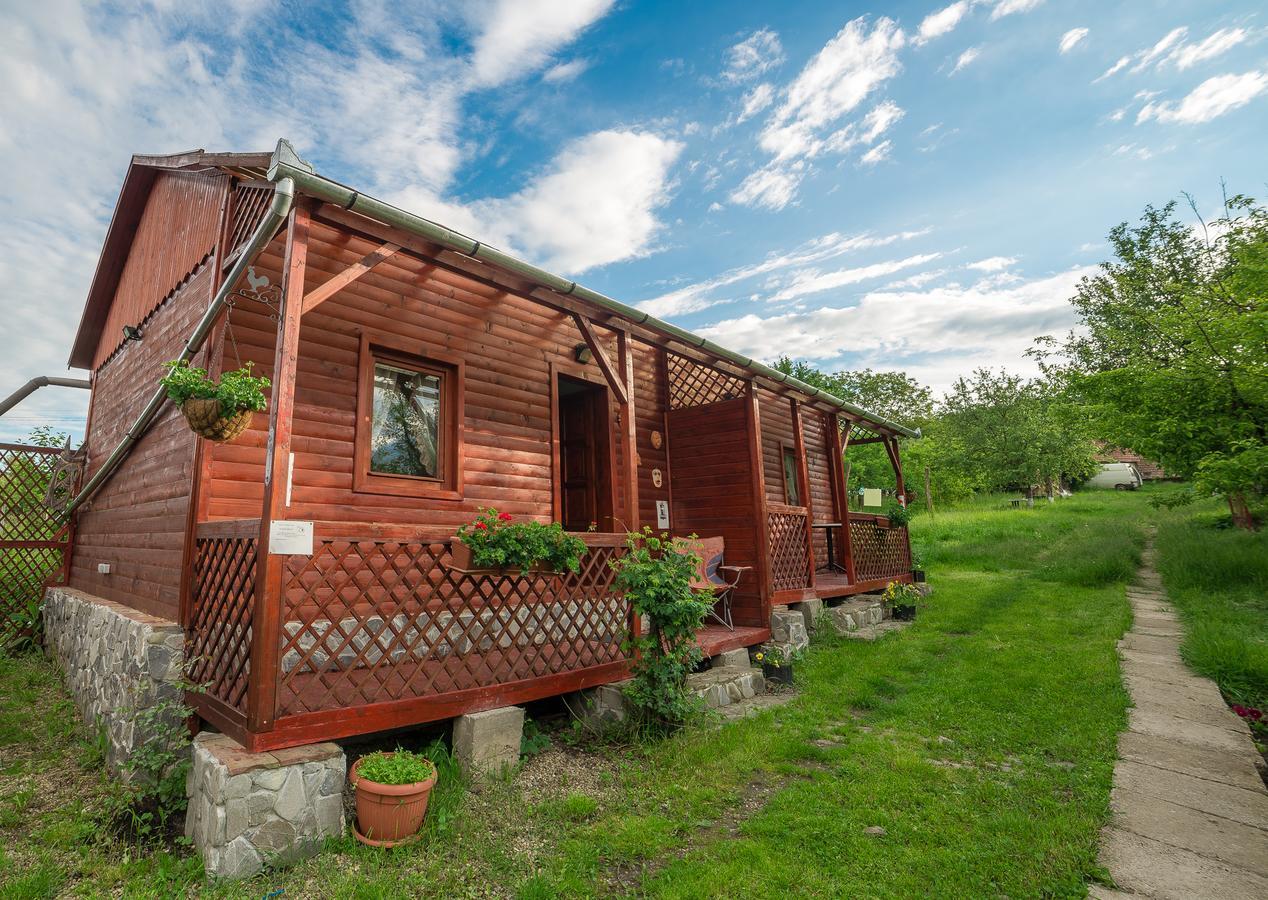 Pension Bassen Bazna Exterior photo
