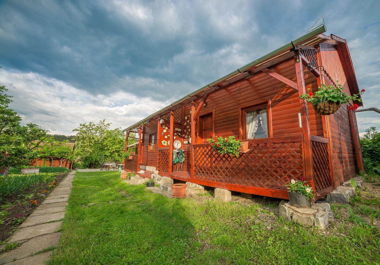 Pension Bassen Bazna Exterior photo