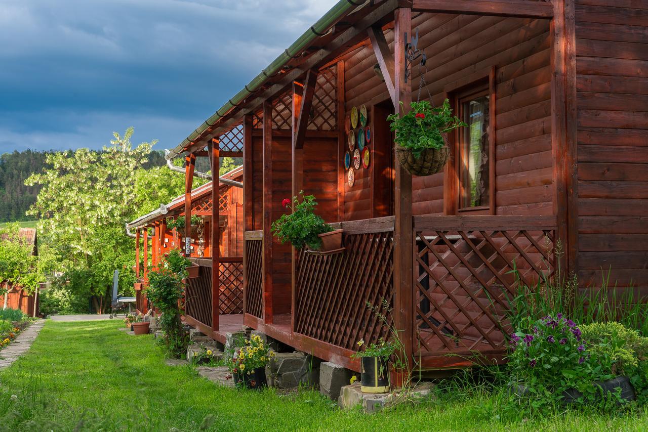 Pension Bassen Bazna Exterior photo
