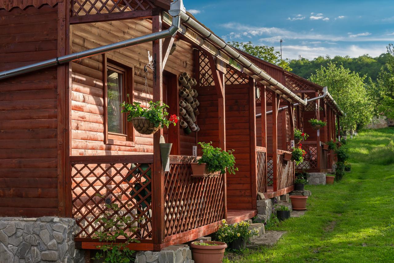 Pension Bassen Bazna Exterior photo