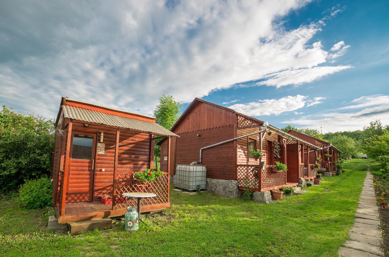 Pension Bassen Bazna Exterior photo