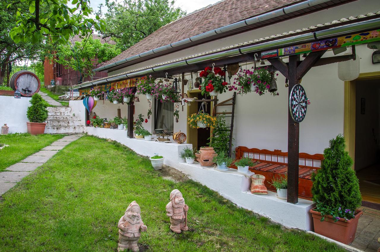 Pension Bassen Bazna Exterior photo